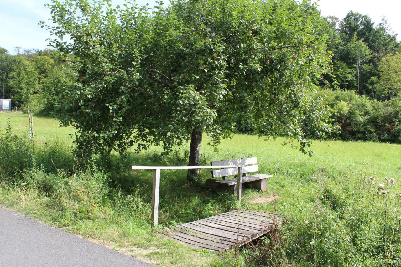 Ferienwohnung Forellenhof Oberschwarzach Extérieur photo