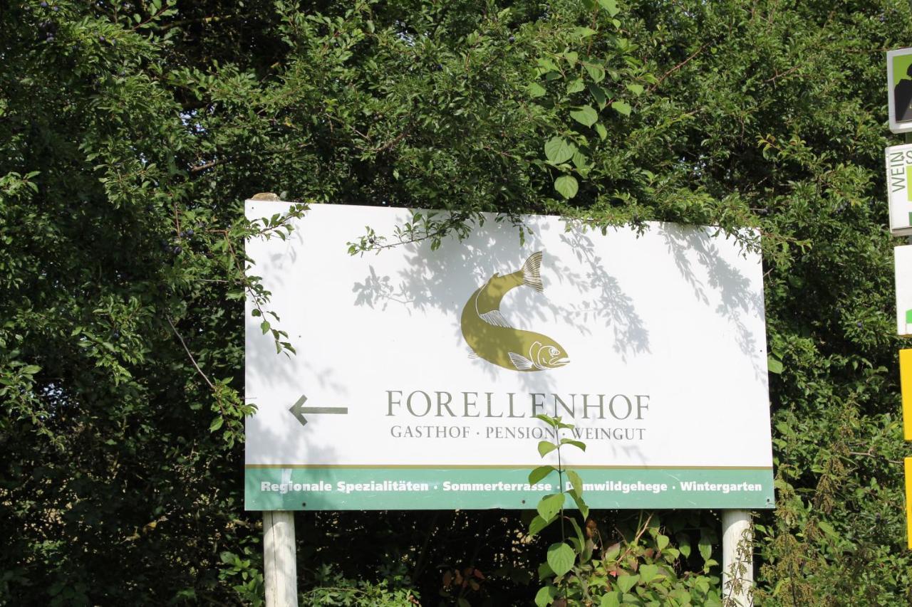 Ferienwohnung Forellenhof Oberschwarzach Extérieur photo